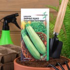 Семена Кабачок "Заячье ушко", 10 шт. - Фото 1