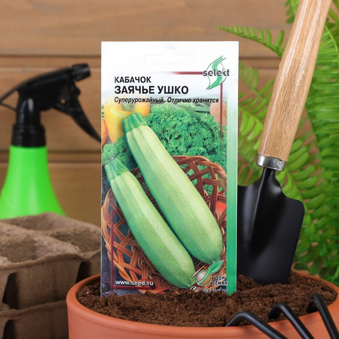 Семена Кабачок "Заячье ушко", 10 шт. - Фото 1