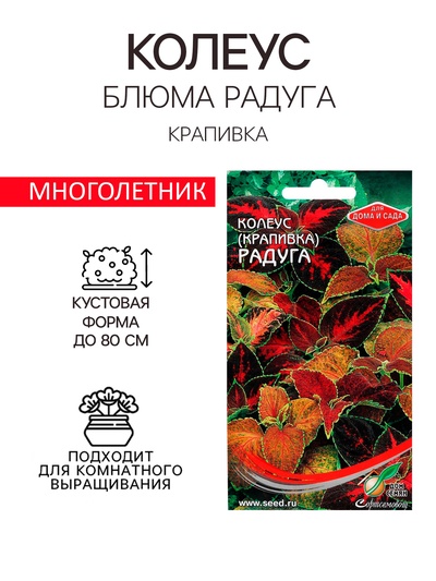 Семена комнатных цветов Колеус "Блюма Радуга", 130 шт.