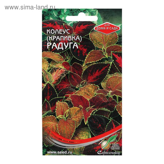 Семена комнатных цветов Колеус «Блюма Радуга», 130 шт., «Дом семян» - Фото 1