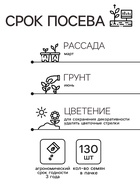 Семена комнатных цветов Колеус «Блюма Радуга», 130 шт., «Дом семян» - Фото 2