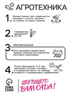 Семена комнатных цветов Колеус «Блюма Радуга», 130 шт., «Дом семян» - Фото 4