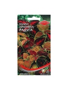 Семена комнатных цветов Колеус «Блюма Радуга», 130 шт., «Дом семян» - Фото 5