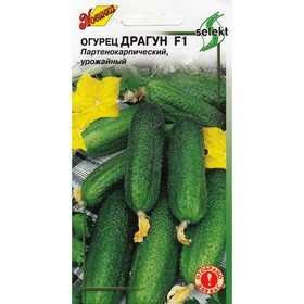 Семена огурца 