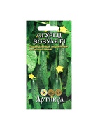 Семена Огурец «Зозуля», F1, раннеспелый, патернокарпический, 10 шт. - Фото 5