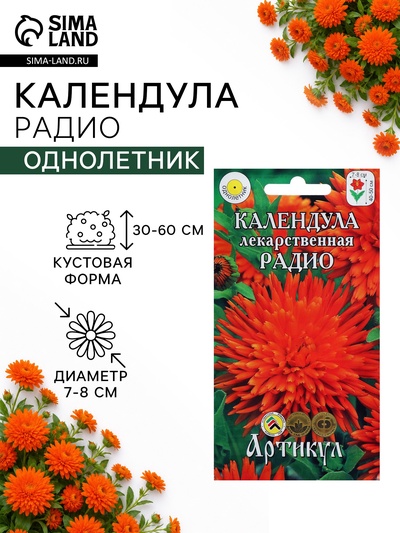 Семена цветов Календула «Радио», 0.3 г, «Артикул»