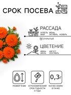 Семена цветов Календула «Радио», 0.3 г, «Артикул» - Фото 2