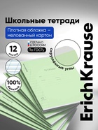 Тетрадь 12 листов в косую линейку ErichKrause «Классика Visio», обложка мелованный картон, зелёная - Фото 1