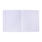 Тетрадь 12 листов в косую линейку ErichKrause «Классика Visio», обложка мелованный картон, зелёная - Фото 9