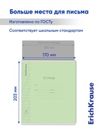 Тетрадь 12 листов в косую линейку ErichKrause «Классика Visio», обложка мелованный картон, зелёная - Фото 6