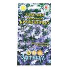 Семена цветов Лобелия ампельная «Кружевница», О, 8 шт. - Фото 1