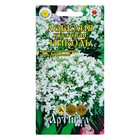 Семена цветов Лобелия кустовая «Николь», О, 8 шт. - Фото 1