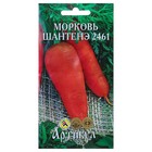 Семена Морковь "Шантенэ 2461", 2 г - Фото 1