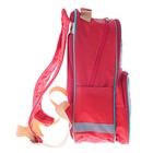 Рюкзак школьный с эргономической спинкой Luris Тимошка 37x26x13 см для девочки, «Енот» - Фото 3