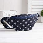 Сумка поясная, отдел на молнии, регулируемый ремень, цвет синий/белый - Фото 1