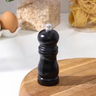 Мельница для специй Доляна, 13×4.5 см, металлический механизм, цвет чёрный - Фото 1