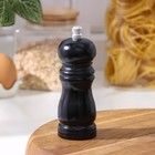 Мельница для специй Доляна, 13×4.5 см, металлический механизм, цвет чёрный - Фото 3