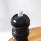 Мельница для специй Доляна, 13×4.5 см, металлический механизм, цвет чёрный - Фото 2