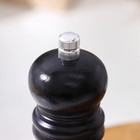 Мельница для специй Доляна, 15.5×4.5 см, металлический механизм, цвет чёрное дерево - Фото 2