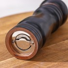 Мельница для специй Доляна, 15.5×4.5 см, металлический механизм, цвет чёрное дерево - Фото 4