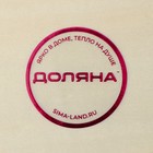 Ящик для хранения чайных пакетиков Доляна «Ахмадабад», 4 ячейки, 25×9.5×6.5 см - Фото 8