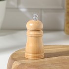 Мельница для специй Доляна, 10,5×4,5 см, металлический механизм, цвет бежевый - Фото 1