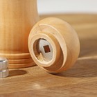 Мельница для специй Доляна, 10,5×4,5 см, металлический механизм, цвет бежевый - Фото 4