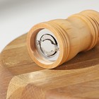 Мельница для специй Доляна, 10,5×4,5 см, металлический механизм, цвет бежевый - Фото 5