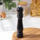 Мельница для специй Доляна, 25×4,5 см, металлический механизм, цвет чёрный - Фото 1