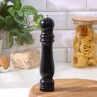 Мельница для специй Доляна, 25×4,5 см, металлический механизм, цвет чёрный - Фото 3