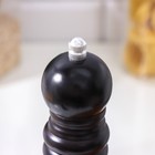 Мельница для специй Доляна, 25×4,5 см, металлический механизм, цвет чёрный - Фото 2