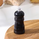 Мельница для специй Доляна, 10,5×4,5 см, металлический механизм, цвет чёрное дерево - Фото 1