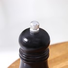 Мельница для специй Доляна, 10,5×4,5 см, металлический механизм, цвет чёрное дерево - Фото 2