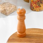 Мельница для специй Доляна, 17×4.5 см, металлический механизм, коричневая - Фото 1