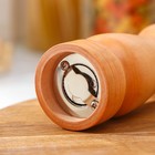 Мельница для специй Доляна, 17×4.5 см, металлический механизм, коричневая - Фото 2