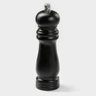 Мельница для специй Доляна, 17×4.5 см, металлический механизм, цвет чёрный - Фото 1