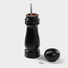 Мельница для специй Доляна, 17×4.5 см, металлический механизм, цвет чёрный - Фото 3