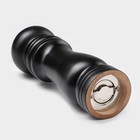 Мельница для специй Доляна, 17×4.5 см, металлический механизм, цвет чёрный - Фото 2