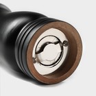 Мельница для специй Доляна, 17×4.5 см, металлический механизм, цвет чёрный - Фото 4