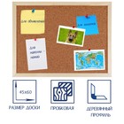 Доска пробковая Calligrata LINE, В1104, 45×60 см, в деревянной раме - Фото 1