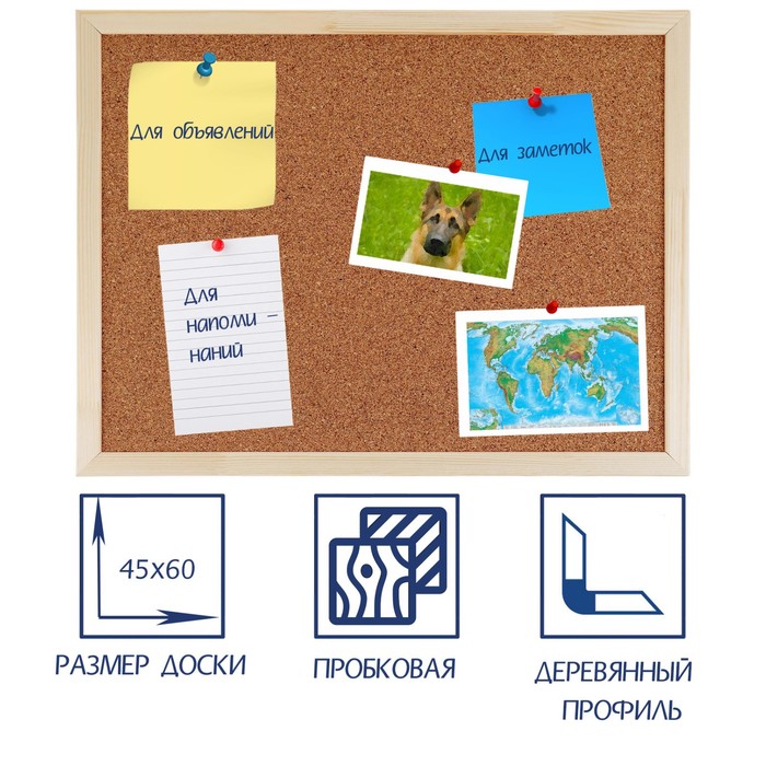 Доска пробковая Calligrata LINE, В1104, 45×60 см, в деревянной раме - Фото 1
