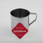 Кружка из нержавеющей стали Доляна «Индия», 650 мл, d=9.8 см - Фото 7