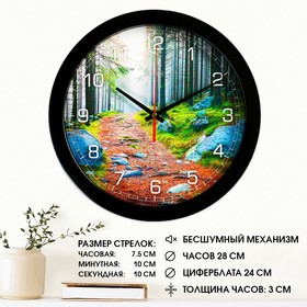 Часы настенные, серия: Природа, "Лесная тропа", плавный ход, d=28 см