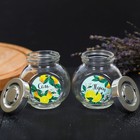 Набор "Лимоны", банки для хранения соли и перца, 150 мл - Фото 4