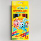 Карандаши двухсторонние, 24 цвета, заточенные, трехгранные, картонная упаковка, европодвес, Смешарики - фото 34936818