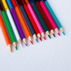 Карандаши двухсторонние, 24 цвета, заточенные, трехгранные, картонная упаковка, европодвес, Смешарики - фото 34936817