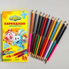Карандаши двухсторонние, 24 цвета, заточенные, трехгранные, картонная упаковка, европодвес, Смешарики - фото 34936820
