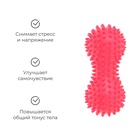 Мяч массажный ONLYTOP, двойной, цвета МИКС - Фото 3