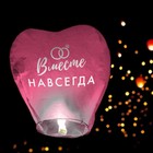 Фонарик желаний «Вместе навсегда», сердце, МИКС - Фото 11