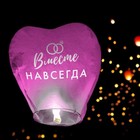 Фонарик желаний «Вместе навсегда», сердце, МИКС - Фото 12